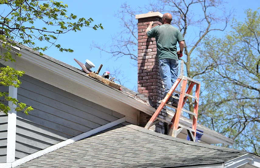 Chimney & Fireplace Inspections Services in Battle Creek, MI